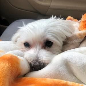 Meet your Posher, Catherine